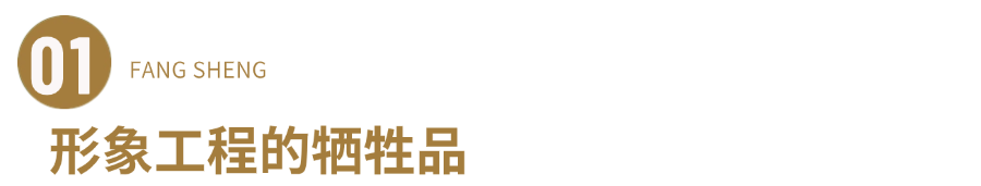 1769046135917078984.png 1.png